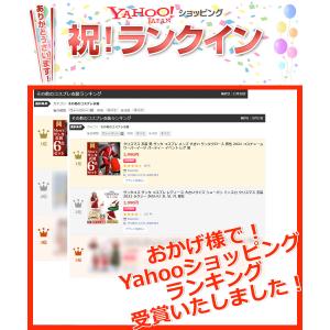 「数量限定特価」大人気 サンタ コスプレ 大き...の詳細画像3
