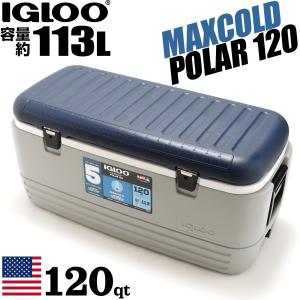 IGLOO イグルー 大型 クーラーボックス 114L MAXCOLD 120 マックスコールド120 49007 120QT おしゃれ｜kusunokishop