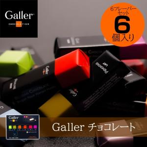 Galler ガレー チョコレートミニバー 6個入り/6フレーバーセット プレミアムスイーツ 友チョコ ホワイトデー バレンタイン