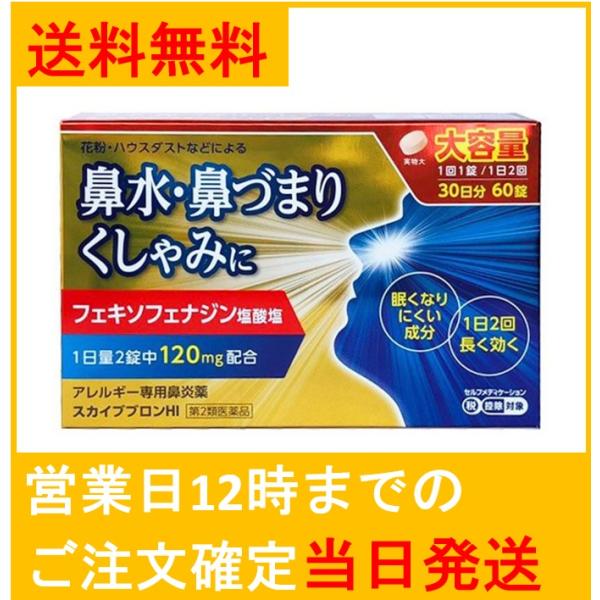 【第2類医薬品】スカイブブロンHI 30日分60錠 花粉などによる 鼻水・鼻づまり・くしゃみ 鼻炎用...