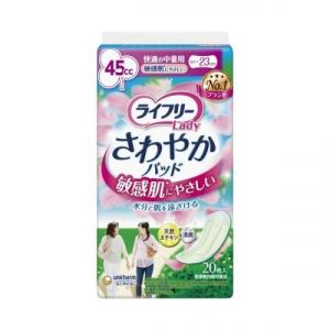【新品】エルモア 肌ともパッド はじめての人も安心の120cc 20枚✕12袋 肌ともパッド はじめての人も安心の120cc 20枚 （12パック入