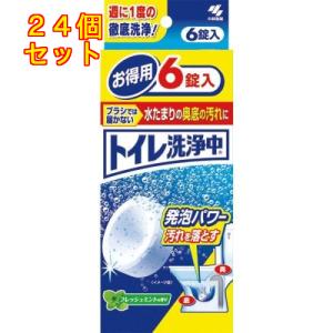 小林製薬 トイレ洗浄中 フレッシュミントの香り 6錠×24個｜kusuriaoki-2