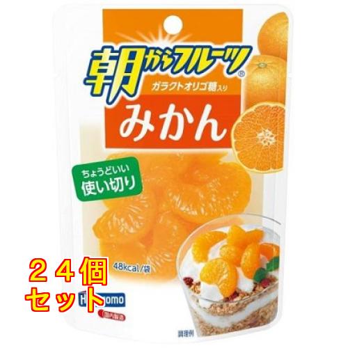 はごろも 朝からフルーツ みかん パウチ 95g×24個