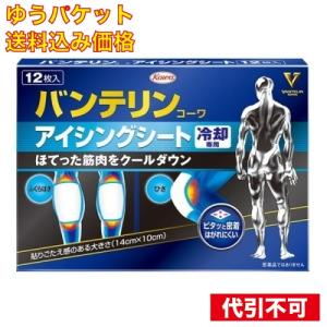 バンテリンコーワ アイシングシート 冷却専用 １２枚入