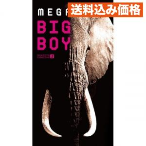 メガビッグボーイ
