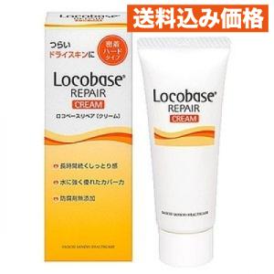 Locobase REPAIR 第一三共ヘルスケア ロコベースリペア ミルク (48g
