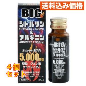 源氣堂 BIGシトルリンアルギニン 50mL×4個