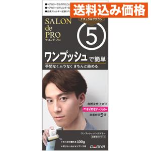 サロンドプロ ワンプッシュメンズカラー（白髪用）6 ダークブラウン