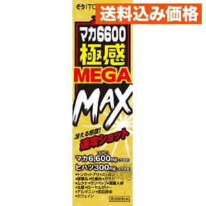 井藤漢方製薬 井藤漢方 マカ6600極感 MEGA MAX (50mL) マカ ヒハツ