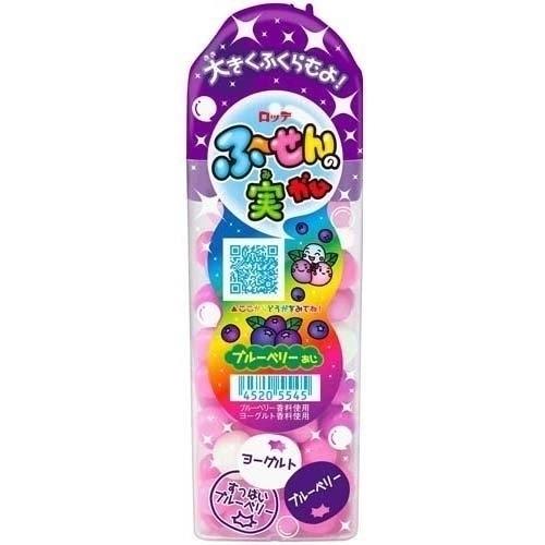 ふ〜せんの実 ガム ブルーベリー 35g×10個