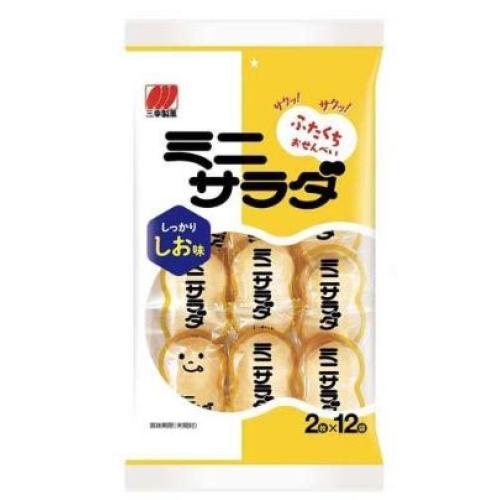 ミニサラダ しお味 24枚入 61g×16個