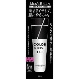 メンズビゲン カラーリンス トリプルプラス ナチュラルブラック 120g