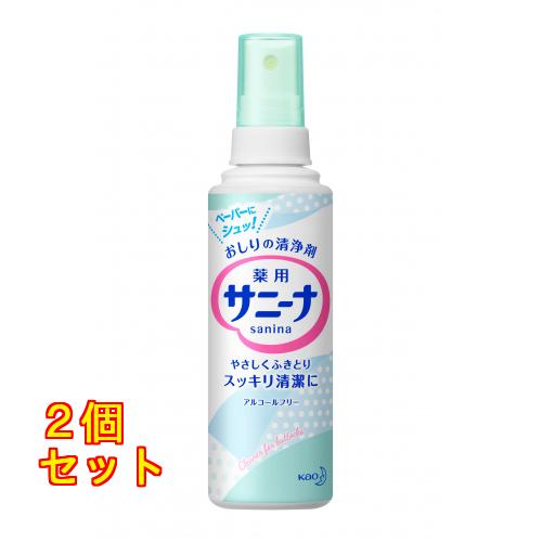 サニーナ　スプレー　９０ｍｌ×2個
