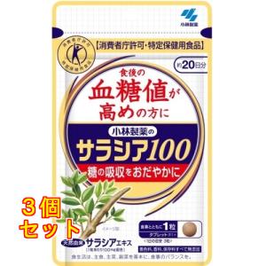 サラシア１００　６０粒×3個