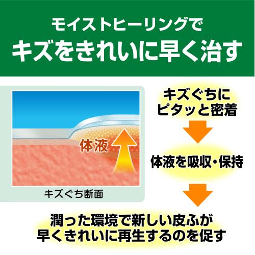 ケアリーヴ 治す力 LL 7枚入×10個