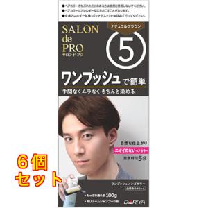 ルシード ワンプッシュケアカラー 6 ダークブラウン ( 50g+50g