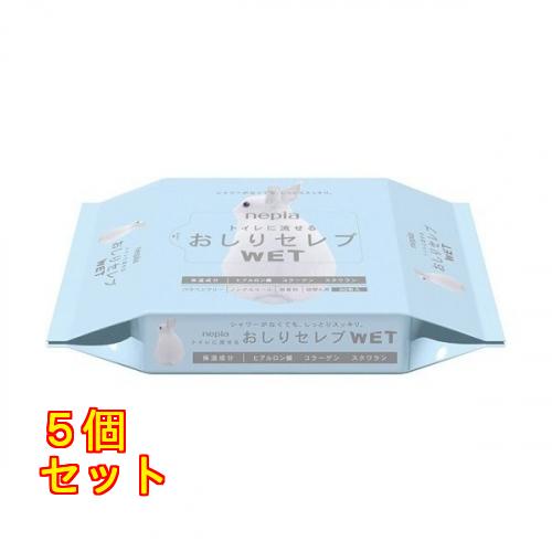 おしりセレブ　ＷＥＴ　詰替　６０枚×5個