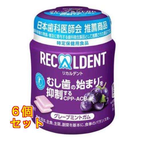リカルデント グレープミントガム ボトル×6個