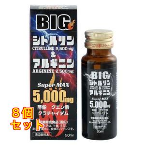 源氣堂 BIGシトルリンアルギニン 50mL×8個