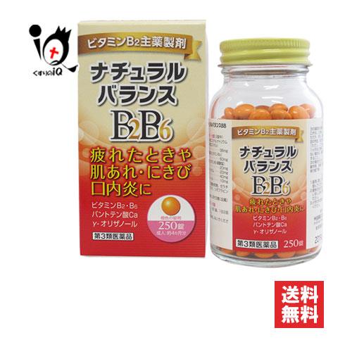 にきび 肌あれ 口内炎 薬 ナチュラルバランスBB 250錠 第3類医薬品 米田薬品工業 ビタミンB...