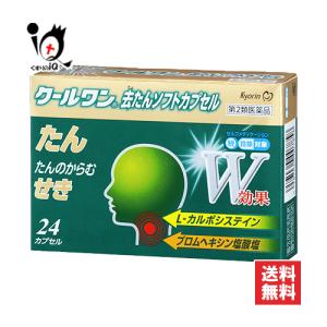 クールワン去たんソフトカプセルの商品画像