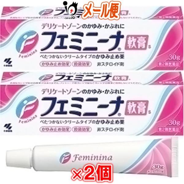 かゆみ止め デリケートゾーン 軟膏 ★フェミニーナ  軟膏S 30g×2個セット 第2類医薬品 小林...