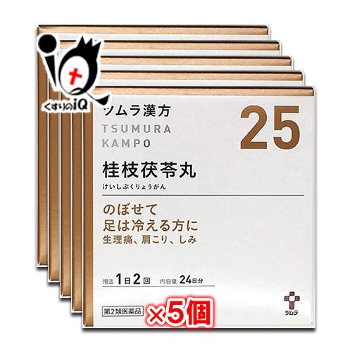 生理痛 漢方ツムラ漢方 桂枝茯苓丸料エキス顆粒A 48包×5個セット 第2類医薬品 ツムラ ケイシブ...