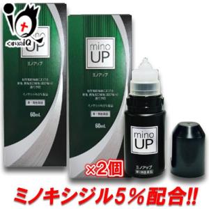 男性用育毛剤 ミノアップ 60ml×2個セット 第1類医薬品 東和薬品 ミノキシジル5％配合 ミノグロウ リザレックも販売中｜くすりのiQ Yahoo!店