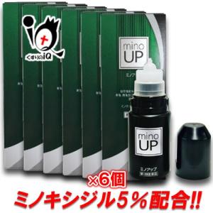 男性用育毛剤 ミノアップ 60ml×6個セット 第1類医薬品 東和薬品 ミノキシジル5％配合 ミノグ...