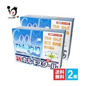 肩こり 腰痛 薬 貼り薬 新ホルキスクール 30枚×2個セット