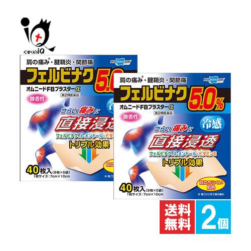 肩こり 腰痛 薬 貼り薬 ★オムニードFBプラスターα 40枚入×2個セット 第2類医薬品 テイコク...