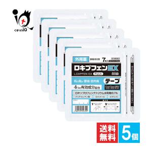 ロキプフェンＥＸの商品画像