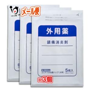 コリアフタ冷感パップの商品画像