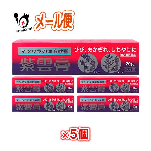 傷薬 しもやけ あかぎれの薬 紫雲膏 20g×5個セット 第2類医薬品 松浦薬業 しうんこう シウン...
