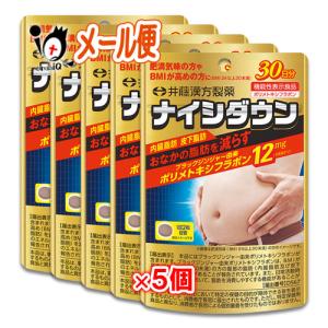 井藤漢方製薬 ダイエットサプリ ナイシダウン 60粒×3個セット 機能性