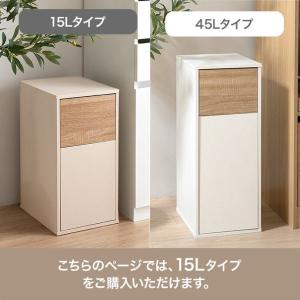 Konpu(コンプ)北欧調 ゴミ箱 【15L】...の詳細画像2