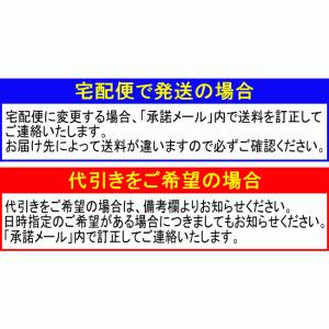 キスミー ヘビーローテーション ティントリキッ...の詳細画像5