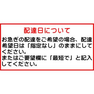 ジェクス SODローション ロングバケーション...の詳細画像2