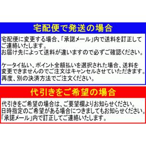 スティーブンノル スカルプケアシステム シャン...の詳細画像3
