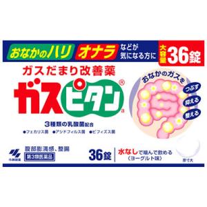 【第3類医薬品】小林製薬　ガスピタン　(36錠)