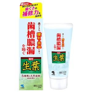 小林製薬 生葉d (100g) 生葉 薬用ハミガキ　医薬部外品｜kusurinofukutaro