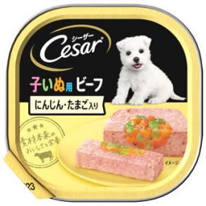 マースジャパン シーザー トレイ 子いぬ用 ビーフ にんじん・たまご入り (100g) ドッグフード...