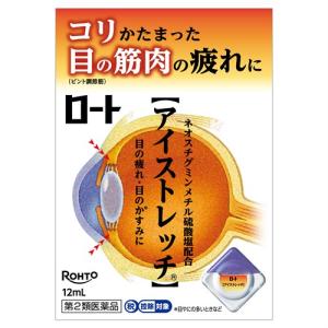 【第2類医薬品】ロート製薬 ロートアイストレッチ (12mL)　目薬 点眼剤　【セルフメディケーション税制対象商品】