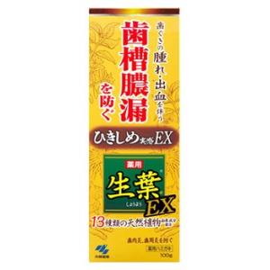 小林製薬　生葉EX　(100g)　生葉　薬用ハミガキ　医薬部外品