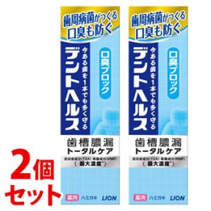 《セット販売》　ライオン デントヘルス 薬用ハミガキ 口臭ブロック (85g)×2個セット 歯槽膿漏 トータルケア 歯みがき　医薬部外品　送料無料