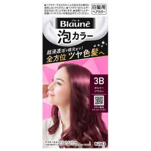 ブローネ 【医薬部外品】花王 泡カラー 3B ボルドーブラウン 108ml
