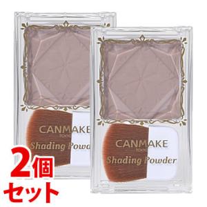 キャンメイク(CANMAKE) シェーディングパウダー 04 アイスグレー