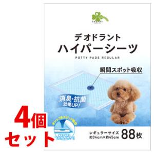 くらしリズム 《セット販売》 デオドラント ハイパーシーツ R