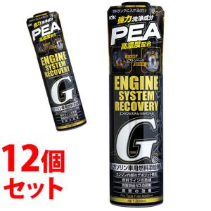 《セット販売》　古河薬品工業 エンジンシステムリカバリーG 63-017 (300mL)×12個セット ガソリン車用 燃料添加剤　送料無料｜kusurinofukutaro