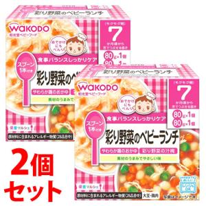 和光堂（WAKODO） たっぷり手作り応援 おいしい野菜がゆ (65g) 5ヶ月頃